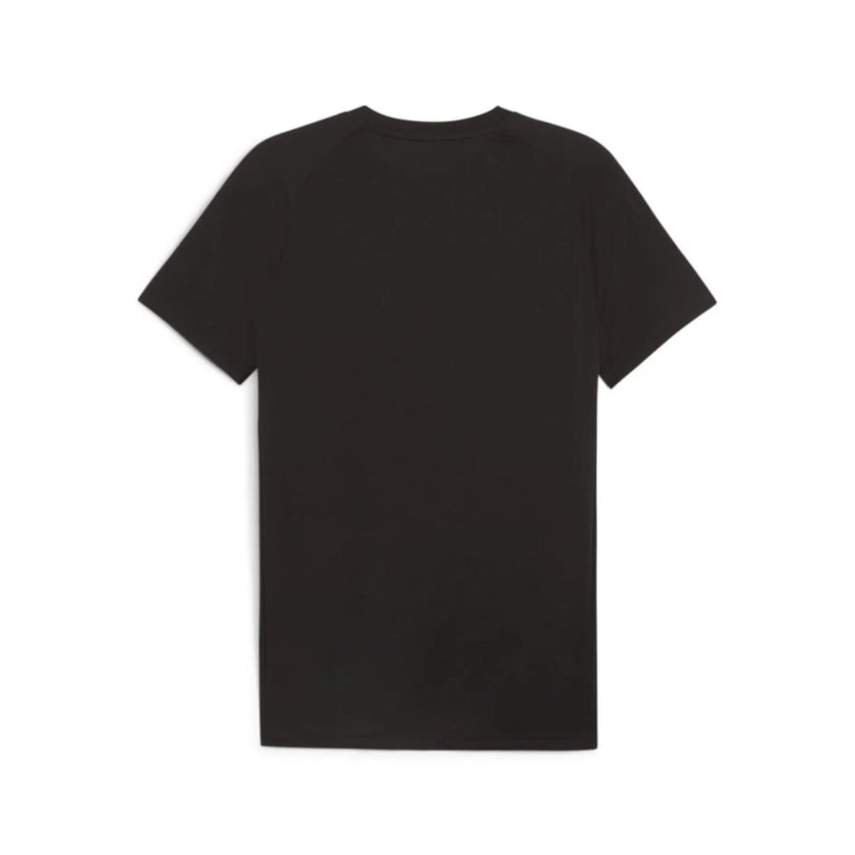 Puma TeamEVOSTRIPE Tee Paita