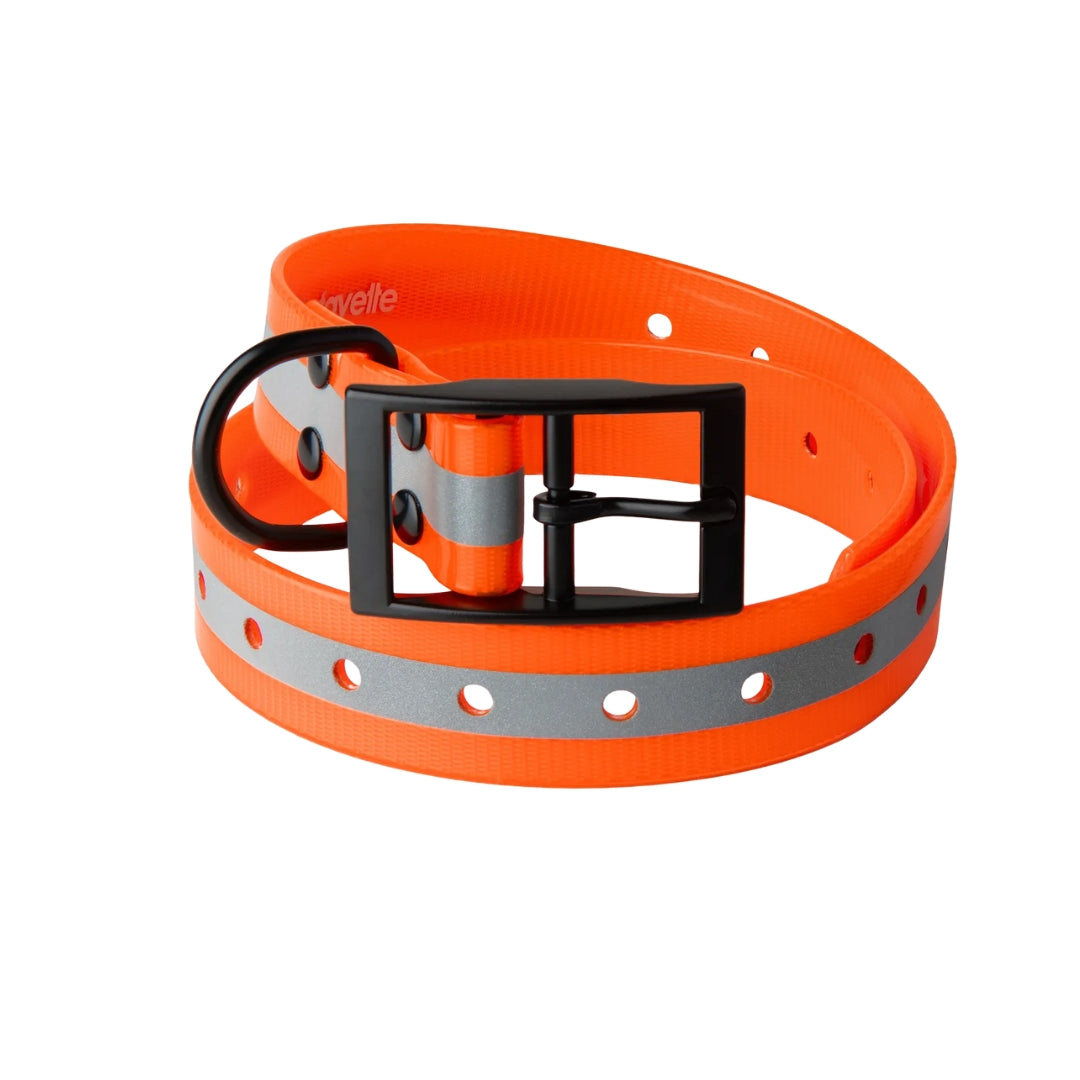 Lafayette koiran heijastinpanta