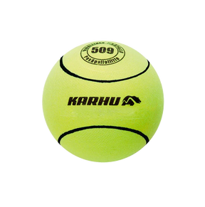 Karhu Naisten ja Nuorten Ottelupallo 509 - Urheilu Pajala