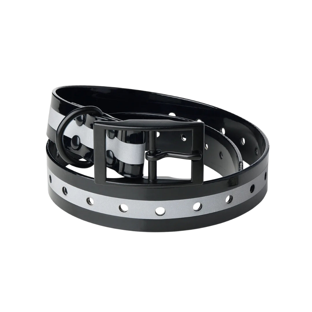 Lafayette koiran heijastinpanta